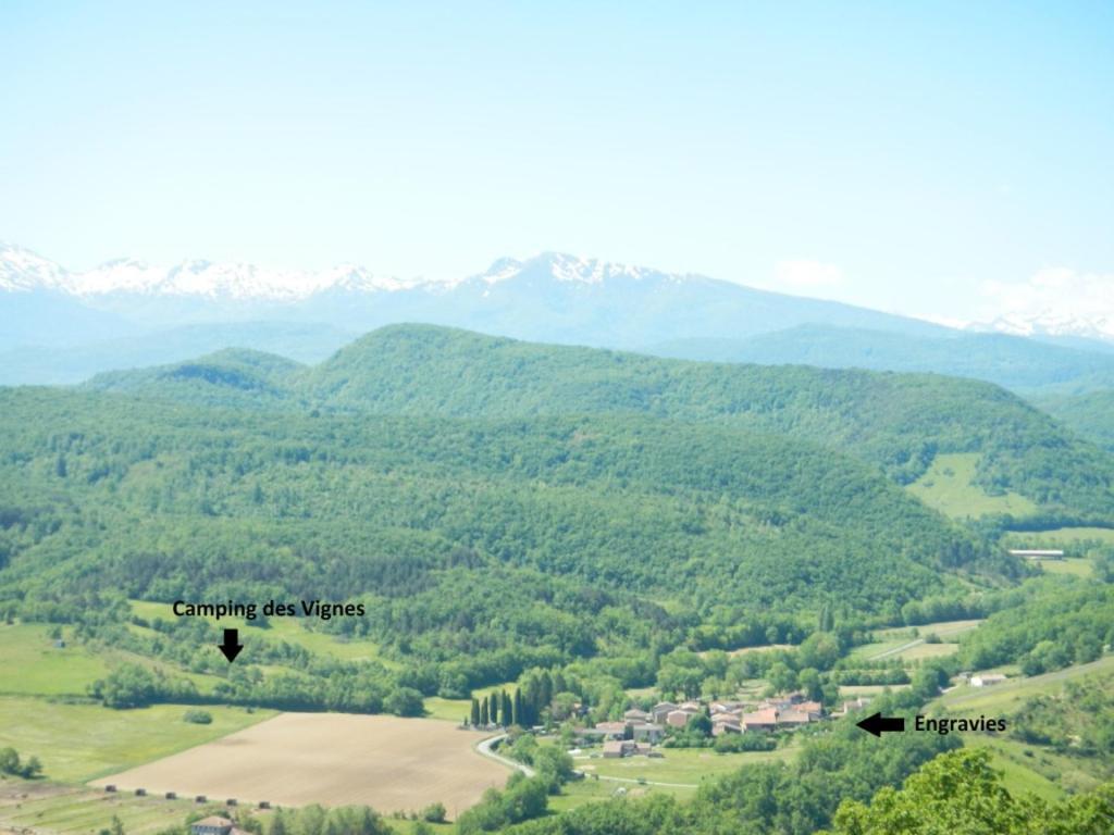 Des Vignes Dun