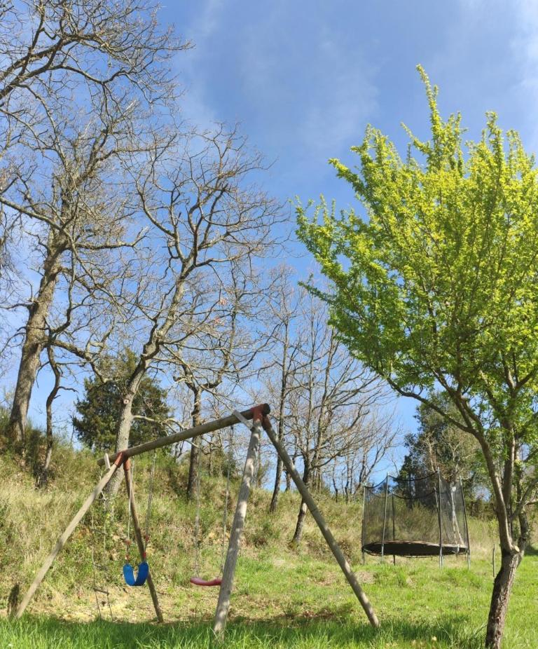 Des Vignes Camping