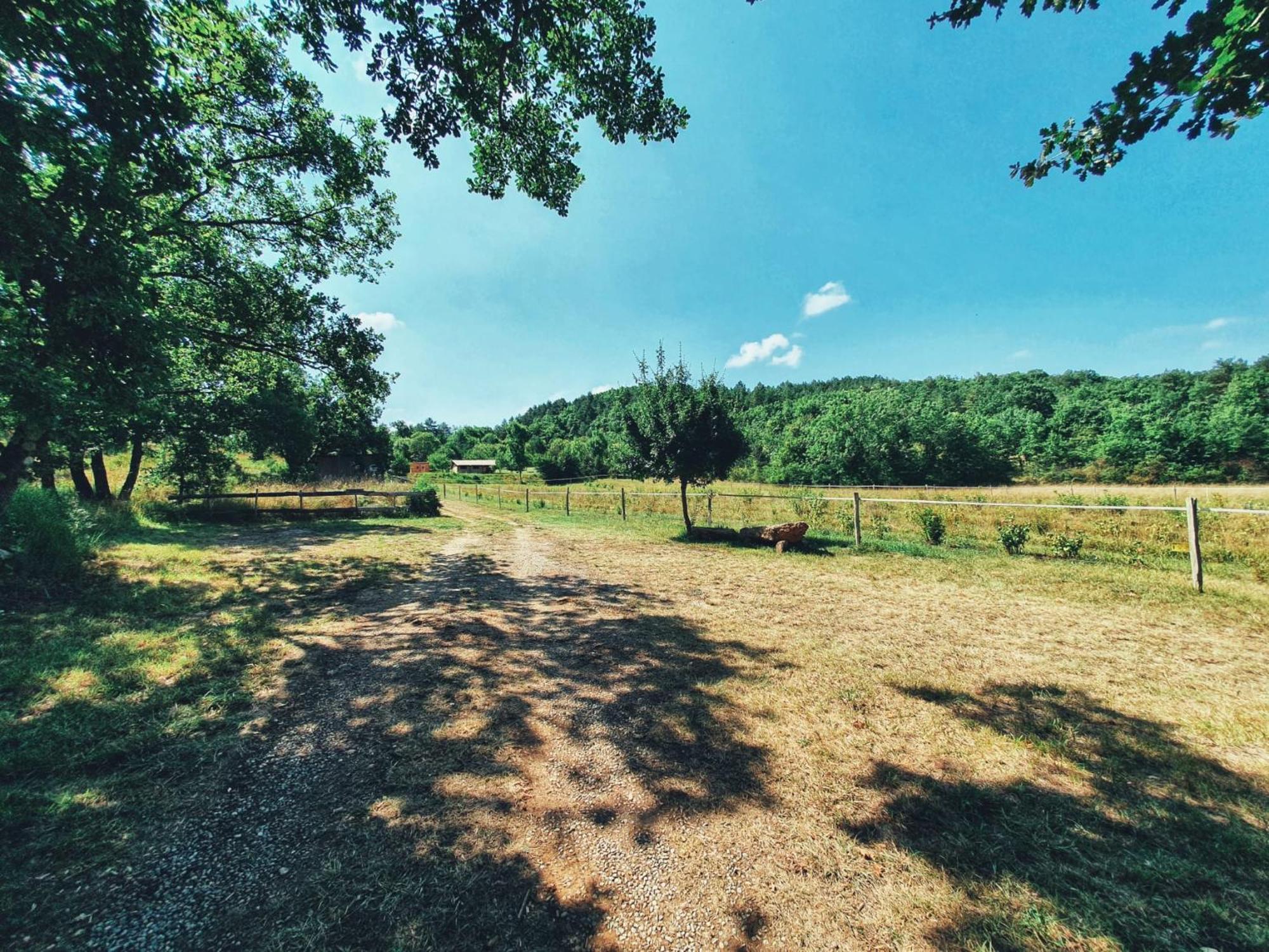 Camping Des Vignes